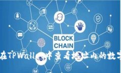 如何在TPWallet中查看地址内的数字货币