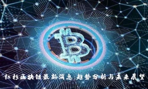 红杉区块链最新消息：趋势分析与未来展望